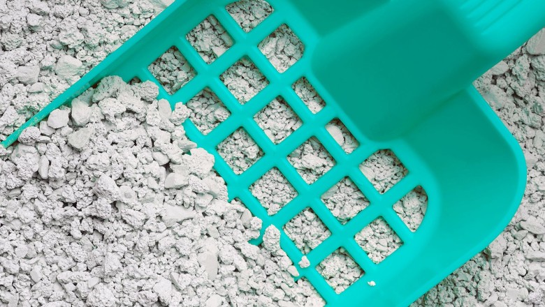 11 Best Cat Litters of 2023, Tested & Reviewed by Experts