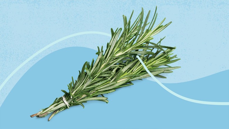 Does Rosemary Water Make Your Hair Grow Faster?